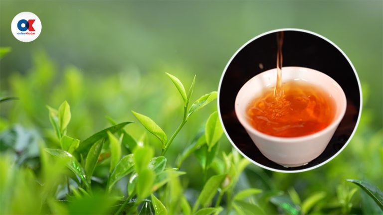 नेपालकै सर्वाधिक महंगो चिया कसरी बन्छ ? कति पर्छ मूल्य ?