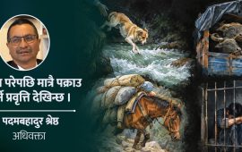 पशुमाथि क्रूरता : दोषी पक्राउ पर्छन्, कारबाही हुँदैन