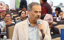 क्षतिग्रस्त सडक र पुलको पुनर्निर्माणमा जोड दिन एमालेको ध्यानाकर्षण