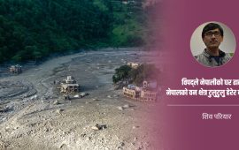 विपद्पछिको पुनर्निर्माणमा हाम्रै वनको काठ किन प्रयोग नगर्ने ?