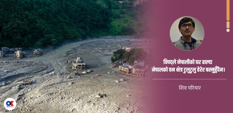 विपद्पछिको पुनर्निर्माणमा हाम्रै वनको काठ किन प्रयोग नगर्ने ?