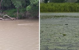 कञ्चनपुरमा लगातारको वर्षाले दुई सीमा स्तम्भ डुबानमा