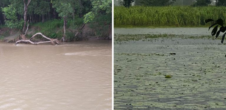कञ्चनपुरमा लगातारको वर्षाले दुई सीमा स्तम्भ डुबानमा