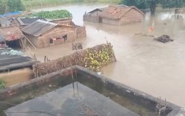 सुस्ताको बस्तीमा पस्यो नारायणीको बाढी, १५० बढी घरपरिवार उच्च जोखिममा