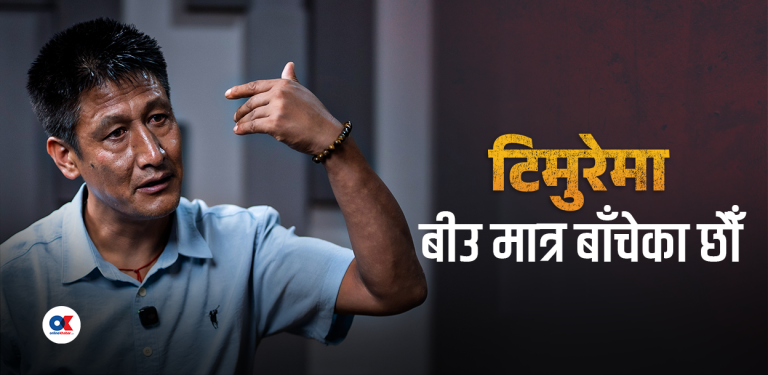 ‘टिमुरेमा बीउ मात्र बाँकी छौँ’