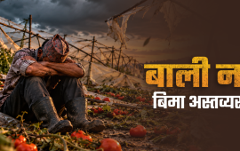 ११ अर्ब ७८ करोडको बीमा अनुदान, किसान भने जोखिममै