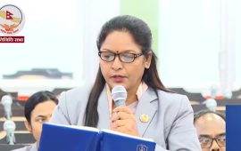 दलहरूप्रति घृणा फैलाएर लोकतन्त्र बलियो हुँदैन : सांसद विक