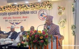 संविधानप्रदत्त अधिकार पनि प्रदेशले पाएनन्, कर्मचारीको मनोबल गिर्‍यो : मुख्यमन्त्री आचार्य