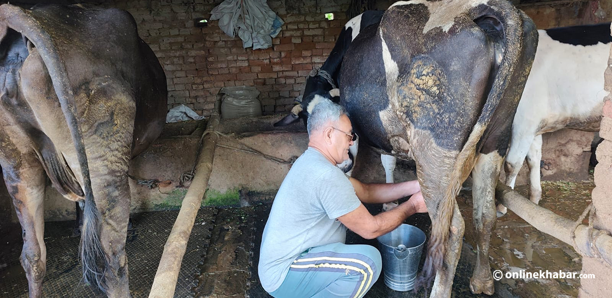 ३५ वर्षमै उच्च रक्तचाप, ६७ वर्षमा पनि सक्रिय जीवन