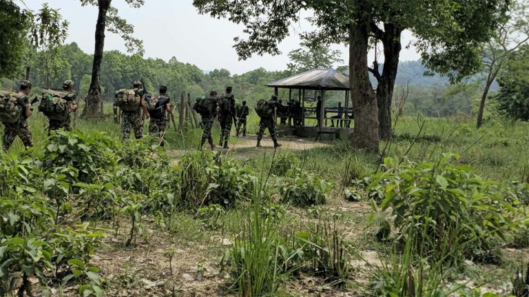 चाडपर्वमा चोरी सिकार रोक्न चितवन निकुञ्जमा ३५ स्पाई क्यामेरा