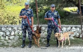 गड्डाचौकी नाकामा सशस्त्रको ‘अल्फा’ र ‘डेल्टा’ परिचालन