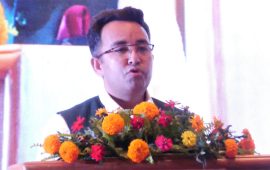 जलवायु सम्मेलन प्रतिबद्धतामा मात्र सीमित नभई परिणाममुखी हुनुपर्छ: सांसद पराजुली