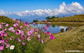 अर्को सातादेखि नेपालका धेरै ठाउँमा वर्षाको सम्भावना