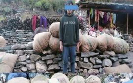 डोल्पामा एक हजार २२५ किलो जटामसीसहित एक जना पक्राउ