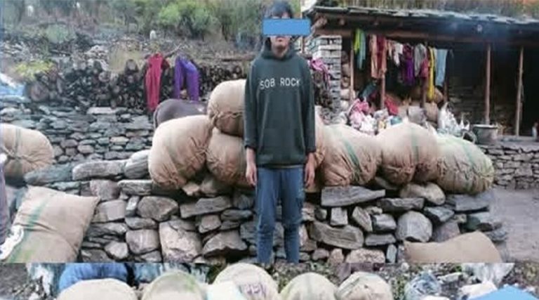 डोल्पामा एक हजार २२५ किलो जटामसीसहित एक जना पक्राउ