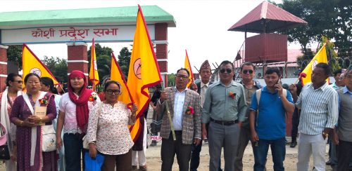 आन्दोलनपछि हुँदा बैठक रोकेर सहमति, सांसदलाई पढ्न नदिइ पारित
