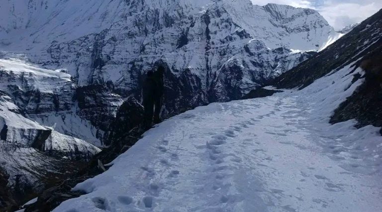 जडीबुटी खोज्न जाँदा बेपत्ता भएका मुगुका दुई जना मृत भेटिए