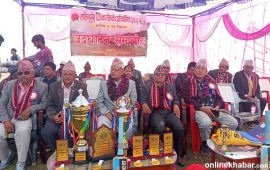 एनपीएलसँगै प्युठानको दिहाल्नामा क्रिकेटको रौनक
