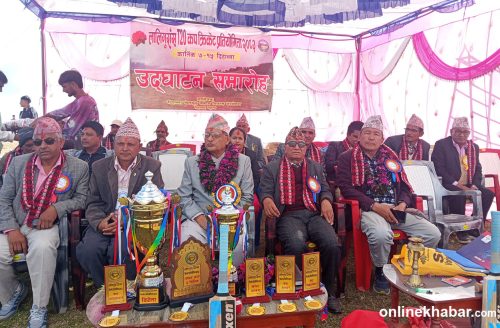 एनपीएलसँगै प्युठानको दिहाल्नामा क्रिकेटको रौनक