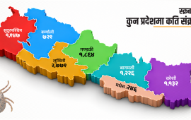 किर्नाले टोकेर १० हजार बढी संक्रमित, ७ जनाको मृत्यु