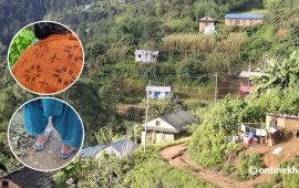 द्वन्द्वकालका यौन हिंसा पीडित : पहिचान न राहत