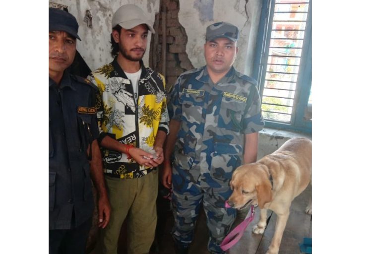 कञ्चनपुरमा ‘अल्फा’ले फेला पार्‍यो ब्राउन सुगर, एक जना पक्राउ