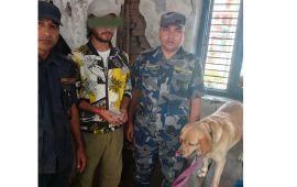 कञ्चनपुरमा ‘अल्फा’ले फेला पार्‍यो ब्राउन सुगर, एक जना पक्राउ