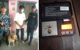 कञ्चनपुरमा कुकुरले पत्ता लगायो मुखभित्र लुकाइएको खैरो हेरोइन, एक जना पक्राउ
