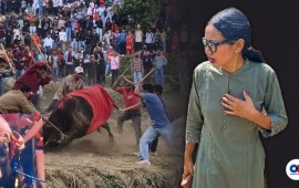 अबोध पशुप्राणीमाथि हुने क्रूरताविरुद्ध एक्लै लडिरहेकी आशिका तामाङ