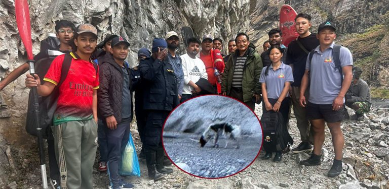 बूढीगण्डकी बाढीमा फसेको कुकुरको २० दिनपछि उद्धार