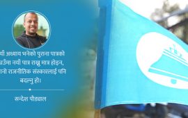 नेतृत्वलाई प्रश्नभन्दा माथि राख्ने पुरानै दलदलमा फस्दै त छैन रास्वपा ?