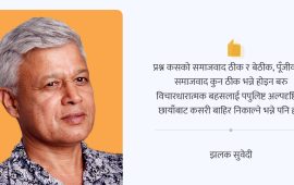 समाजवाद छाड्दै गरेको कांग्रेस, समाजवादलाई गिज्याइरहेका विष्णु सापकोटा