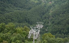 तनहुँमा विकास आयोजनालाई ७१८ हेक्टर वन क्षेत्र प्रयोग गर्न अनुमति