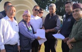 महाधिवेशनका क्रममा खुलामञ्चमा क्षति पुगेको ठाउँमा नयाँ दुबो रोपिने, खर्च कांग्रेसले बेहोर्ने