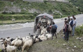 सहरको स्वादका लागि छुट्छ हिमालको दसैं-तिहार