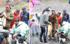 बूढीगण्डकी बाढीमा फसेको कुकुरको २० दिनपछि उद्धार