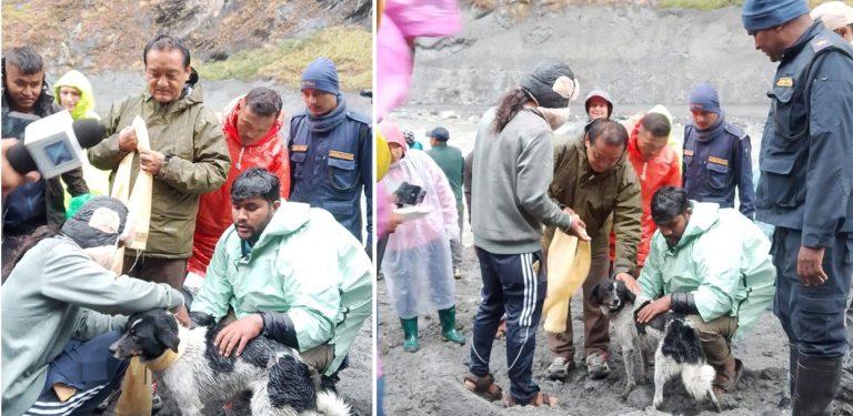 बूढीगण्डकी बाढीमा फसेको कुकुरको २० दिनपछि उद्धार