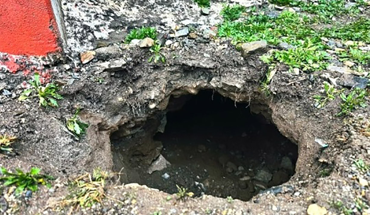 डोल्पामा फरार ८ कैदीबन्दीको विवरण सार्वजनिक, ५ जबरजस्ती करणी र ३ चोरी मुद्दाका