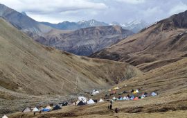 डोल्पाका पाटनको जडीबुटी आम्दानीको प्रमुख आधार