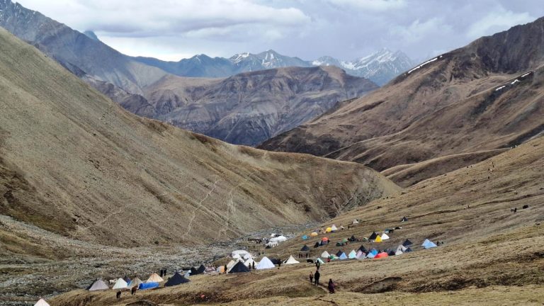 डोल्पाका पाटनको जडीबुटी आम्दानीको प्रमुख आधार