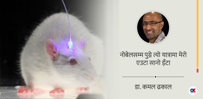 अप्टोजेनेटिक्स : मस्तिष्कको रिमोट कन्ट्रोलदेखि नोबेल पुरस्कारसम्मको रोमाञ्चक यात्रा