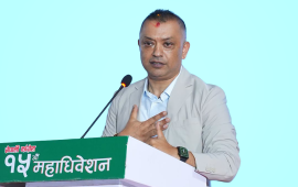 गगन थापा नेपाली कांग्रेसको सभापति निर्वाचित