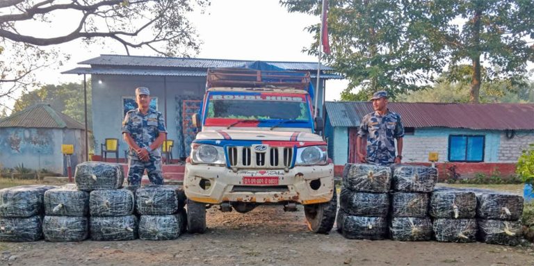 मोरङमा तरकारी बोकेको गाडीबाट ५७० किलो गाँजा बरामद