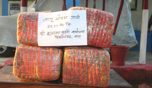 ५५ केजी गाँजासहित एक जना पक्राउ
