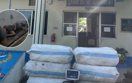 मोरङमा प्रहरीले गोली चलाएर समात्यो गाँजा कारोबारी