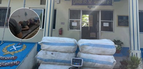 मोरङमा प्रहरीले गोली चलाएर समात्यो गाँजा कारोबारी