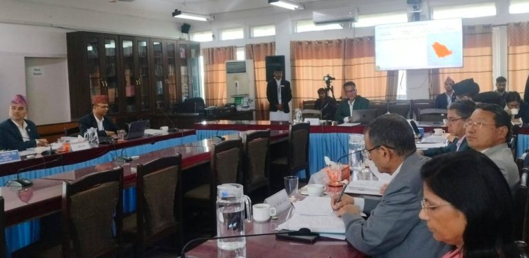 यस्ता छन् साउदीका लागि प्रस्तावित राजदूतका प्रतिबद्धता
