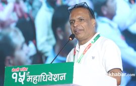 महामन्त्री गुरु घिमिरेको सांगठनिक प्रतिवेदन 