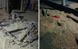 पर्साको ठोरीमा हात्ती आतंक, भाग्ने क्रममा दुई जना घाइते