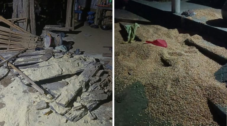पर्साको ठोरीमा हात्ती आतंक, भाग्ने क्रममा दुई जना घाइते